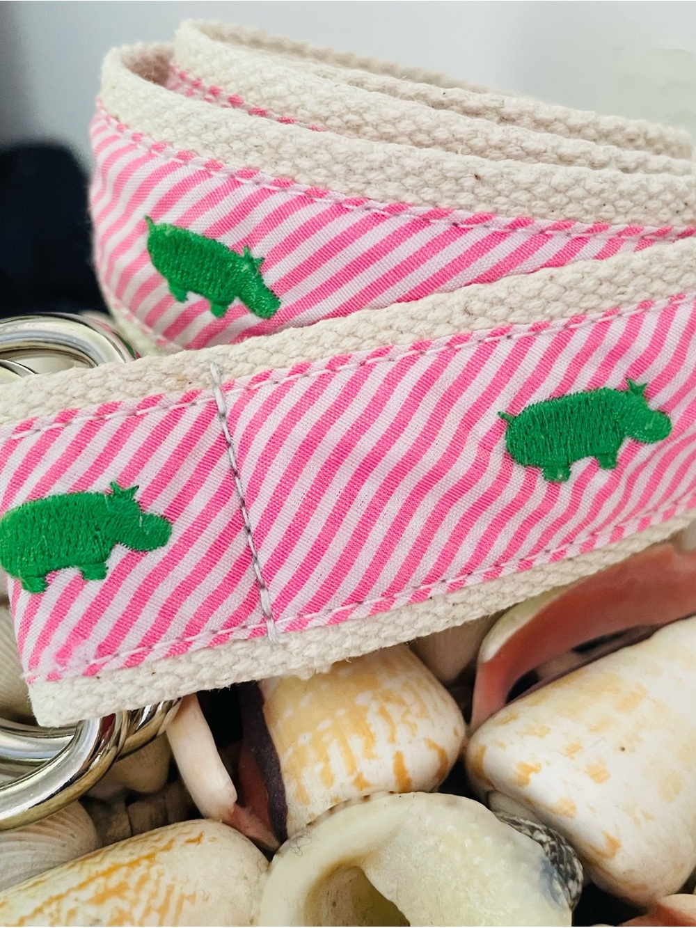 J. Crew Pink Striped Belt with Green Embroidered Hippo and Silver Rings - Picture 8 of 14